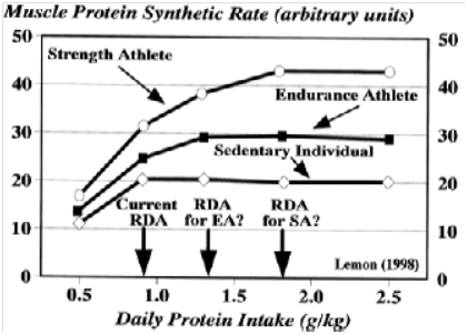11909_optimal-protein-intake_10-10-18.png