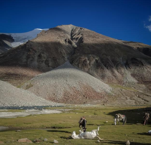 598_pachathang_-_tea_3_30-01-17.jpg