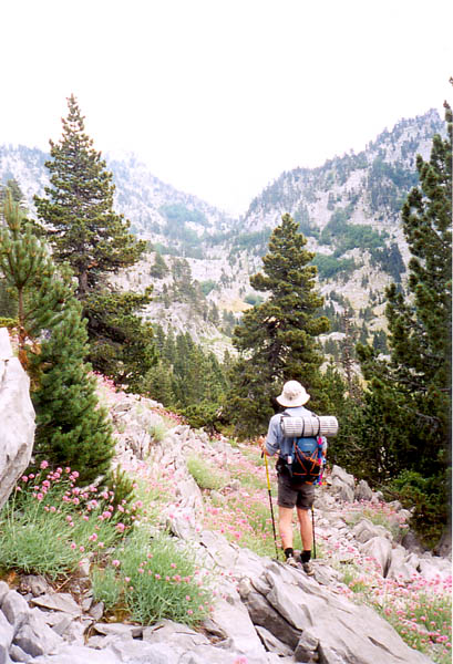 Enfin on sait où on est, un chemin longe le fond du vallon à droite